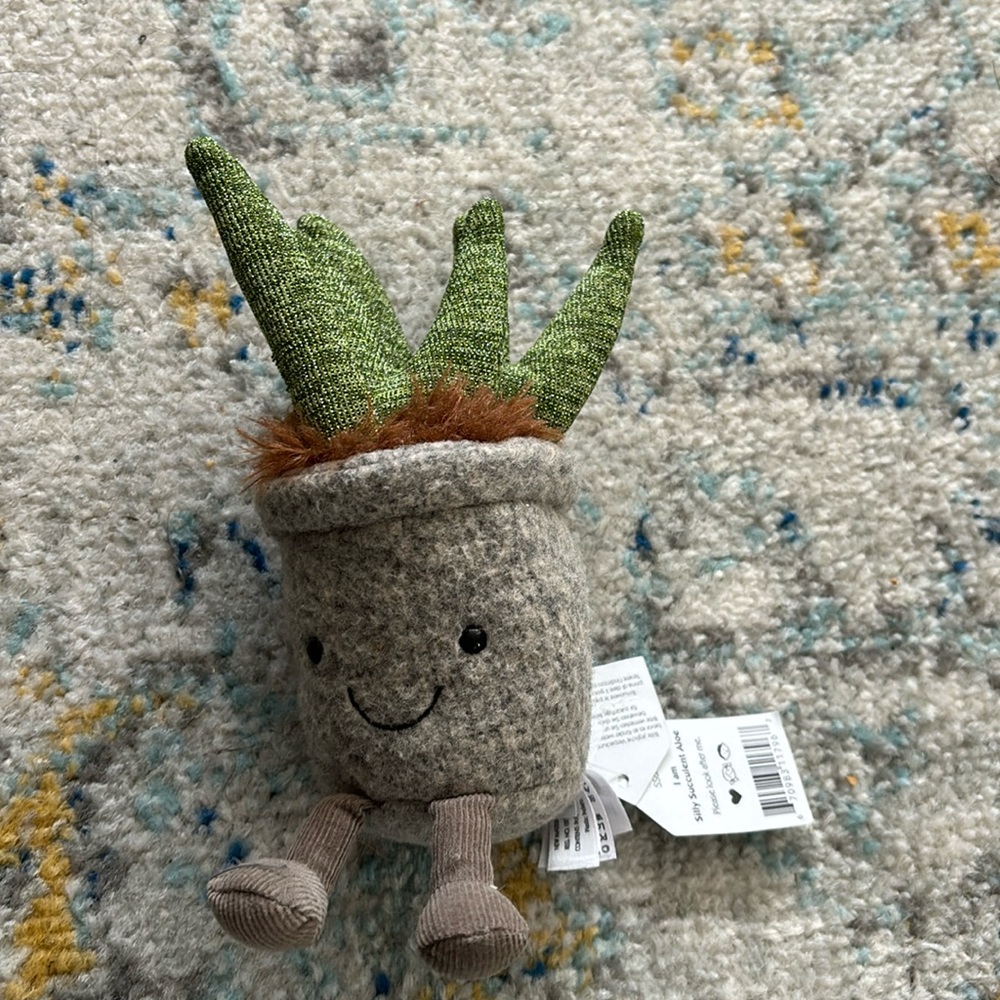 Cactus jelly cat